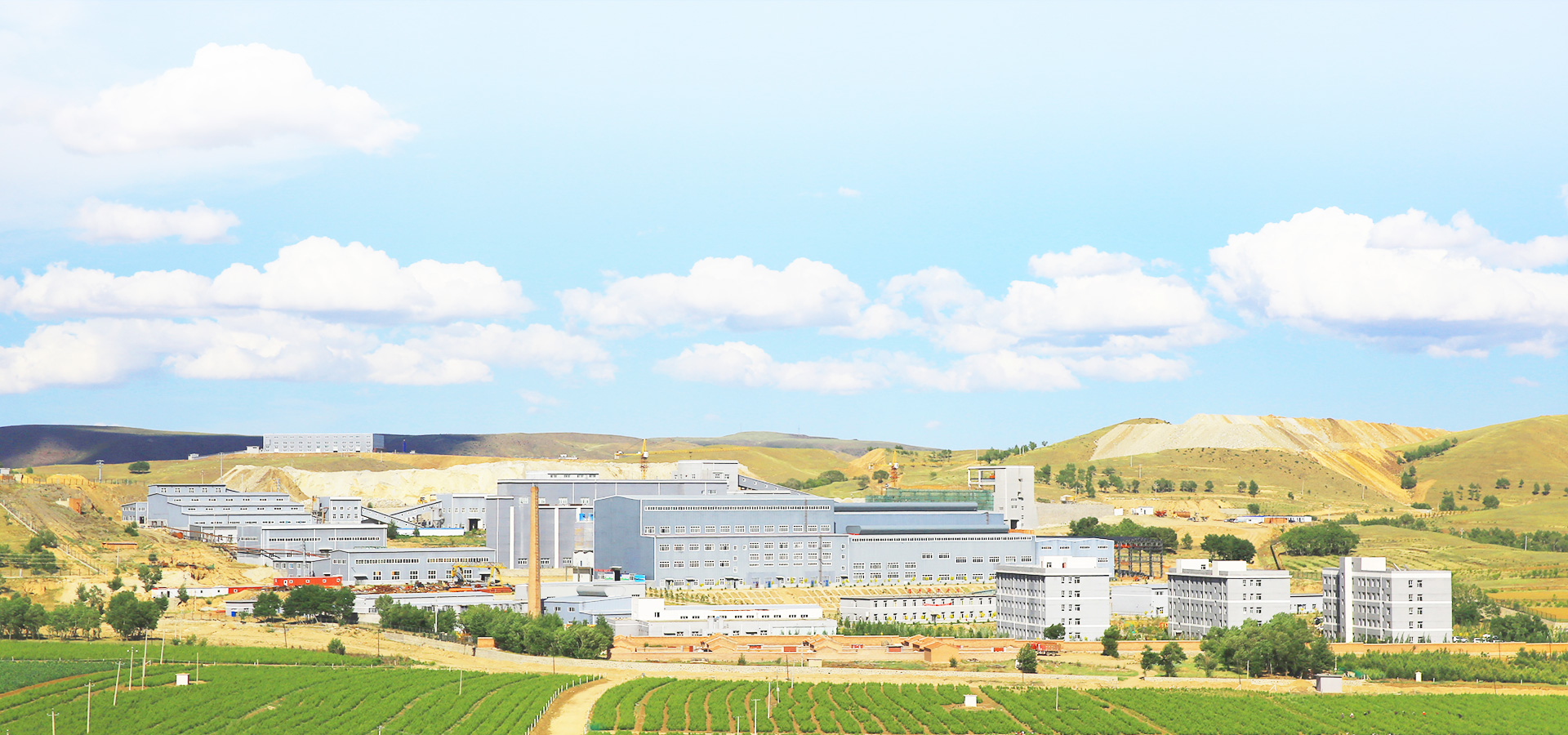 实现企业生长，，成绩员工价值，，践行社会责任。。。。